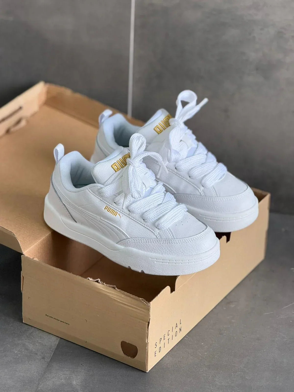 PUMA PARK